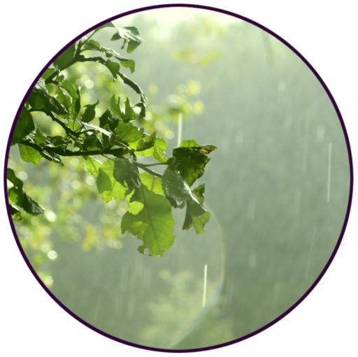L'odeur de la pluie